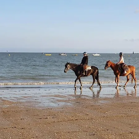 Océan Bleu - Bord De *