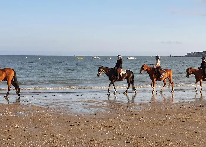 Ocean Bleu - Bord De *